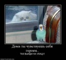 N[i]ki Baby фотография #47 (источник - https://vk.com/id66662499)