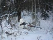 Фотография Елисеева Левайса