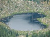 Євген Михайлович фотография #19 (источник - https://vk.com/id4959644)