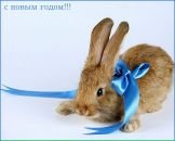 Фотография Кошечкиной Светланы