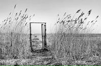 Фотография Елисеева Владислава