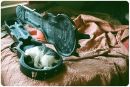 Андрій Яковенко фотография #36 (источник - https://vk.com/id66869826)