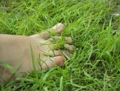 Фотография Матлак Маши