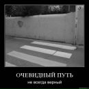 Дмитрий Козлов фотография #27 (источник - https://vk.com/id2851905)