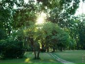 Мария Талалаева фотография #43 (источник - https://vk.com/id53978)