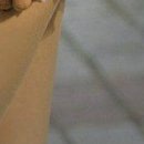 Вікуся Родіна фотография #49 (источник - https://vk.com/id78531355)