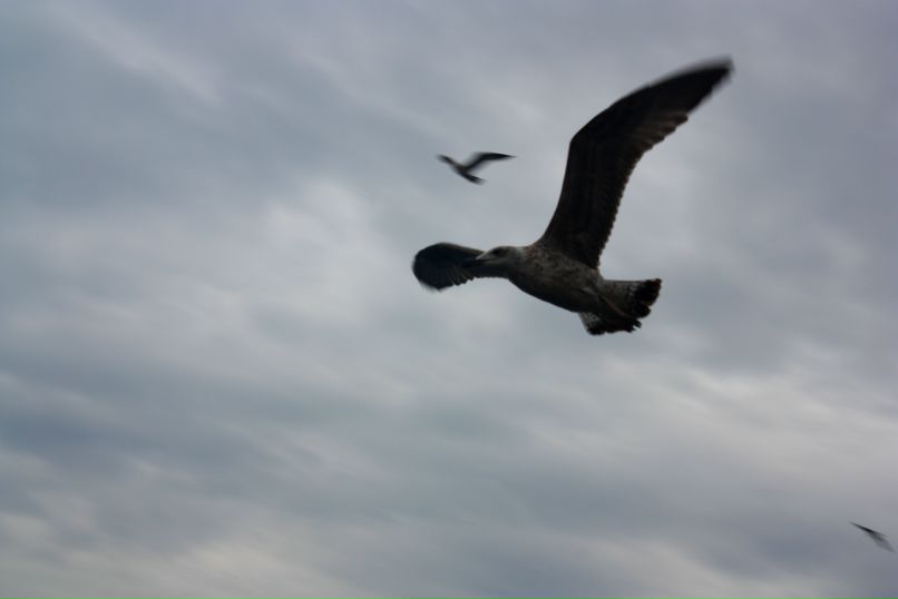 Маша Snifter фотография #7