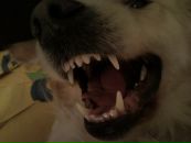 Ирина Череповская фотография #16 (источник - https://vk.com/id2193058)