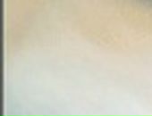 Лєра Щербина фотография #20 (источник - https://vk.com/id68521705)