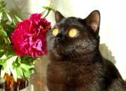 Фотография Кузьмичёвой Ольги