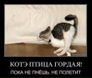 Фотография Никитиной Ирины