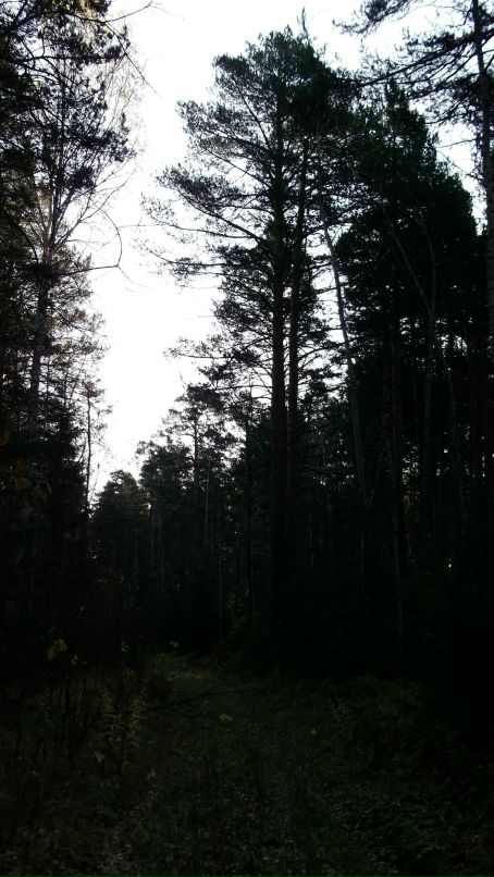 Александр Бабенко фотография #41