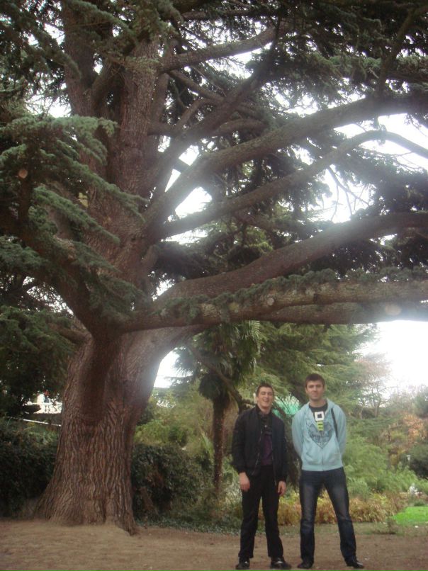 Александр Тарасенко фотография #47