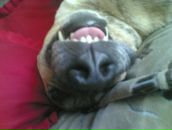 Максим Куварзін фотография #34 (источник - https://vk.com/id6530006)