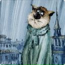 Фотография Прокопьевой Дашеньки