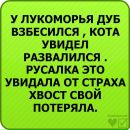 Віталік Чепіль фотография #42 (источник - https://vk.com/id84807932)