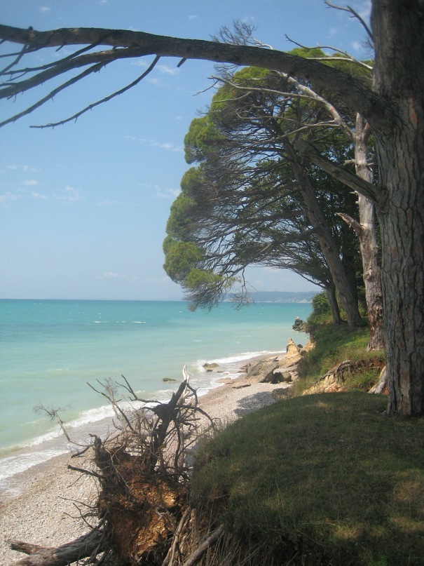 Дима Matveev фотография #18