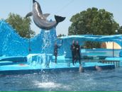 Аліна Юзефчик фотография #26 (источник - https://vk.com/id85613606)