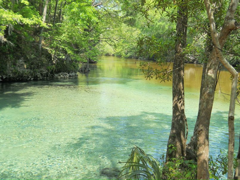 Катя Трофимова фотография #41