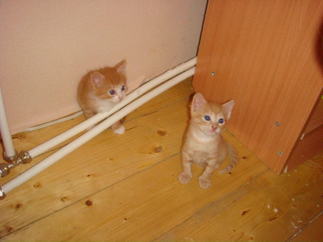 Оля Хапцова фотография #24