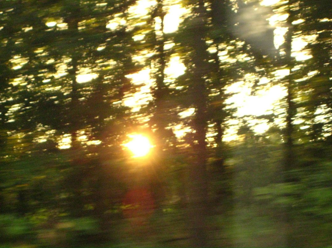 Дмитрий Линьков фотография #48