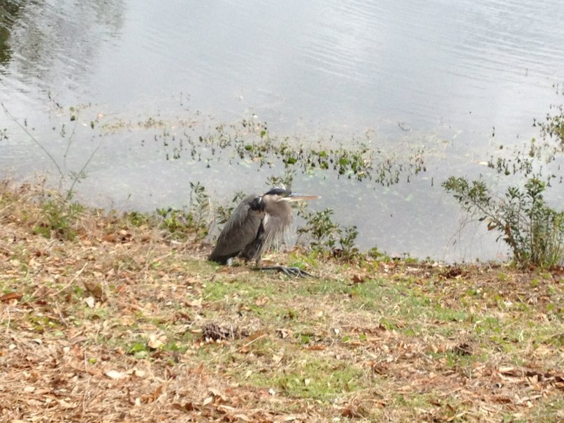 Ol S фотография #4