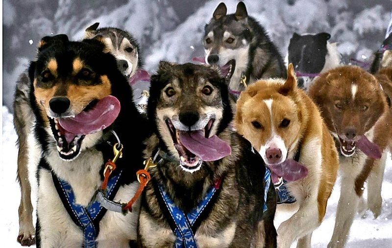 Victor Sheremetker фотография #48