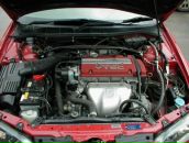 Фотография Кнауба Евгения