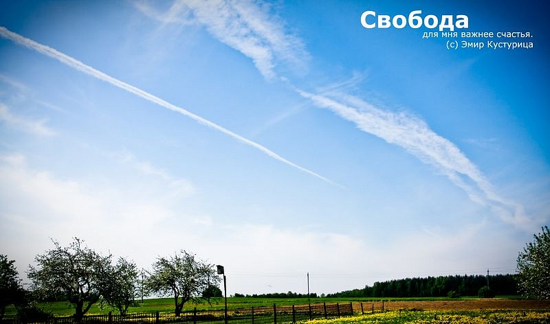 Денис Никитин фотография #9