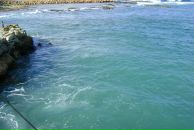 Princessa София фотография #38 (источник - https://vk.com/id852922)