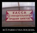 Антон Random фотография #6 (источник - https://vk.com/id3982068)