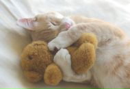 Мариам Глаголева фотография #29 (источник - https://vk.com/id3770974)