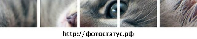 Іванка Мандзюк фотография #17 (источник - https://vk.com/id31254698)