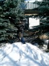 Віка Каландирець фотография #17 (источник - https://vk.com/id67748927)