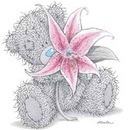 Діана Береза фотография #29 (источник - https://vk.com/id157656163)