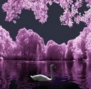 Діана Береза фотография #45 (источник - https://vk.com/id157656163)