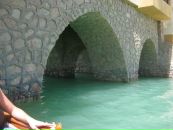 Назар Чариєв фотография #48 (источник - https://vk.com/id14955177)