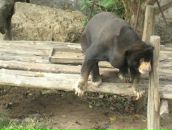 Клевый Парень фотография #41 (источник - https://vk.com/id391001)