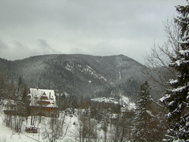 Андрей Сыроежкин фотография #49