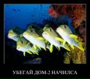 Діма Барон фотография #39 (источник - https://vk.com/id52504283)