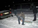 Андрій Голевич фотография #16 (источник - https://vk.com/id59321707)