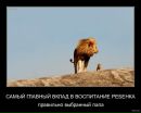 Фотография Юлия Батулина