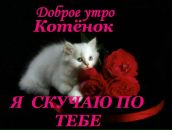 Іван Попович фотография #20 (источник - https://vk.com/id114307623)