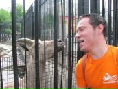 Фотография Гугуева Вячеслава