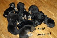 Наталія Діденко фотография #14 (источник - https://vk.com/id3846566)