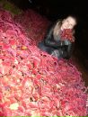 Фотография Геврасевой Валерии