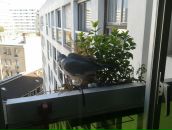 Юлия Москвичева фотография #7 (источник - https://vk.com/id1690467)