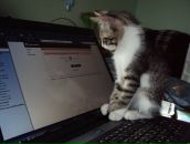 Фотография Ромеро Юлии