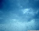 Ельвіра Юришинець фотография #36 (источник - https://vk.com/id153243566)