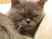 Татьяна Михалева фотография #42 (источник - https://vk.com/id997516)